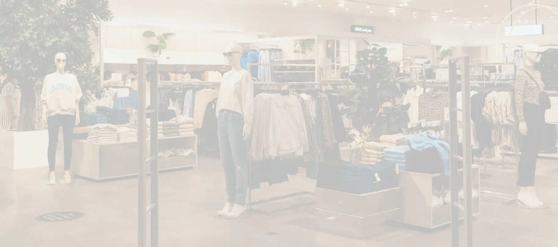 Протикрадіжні системи